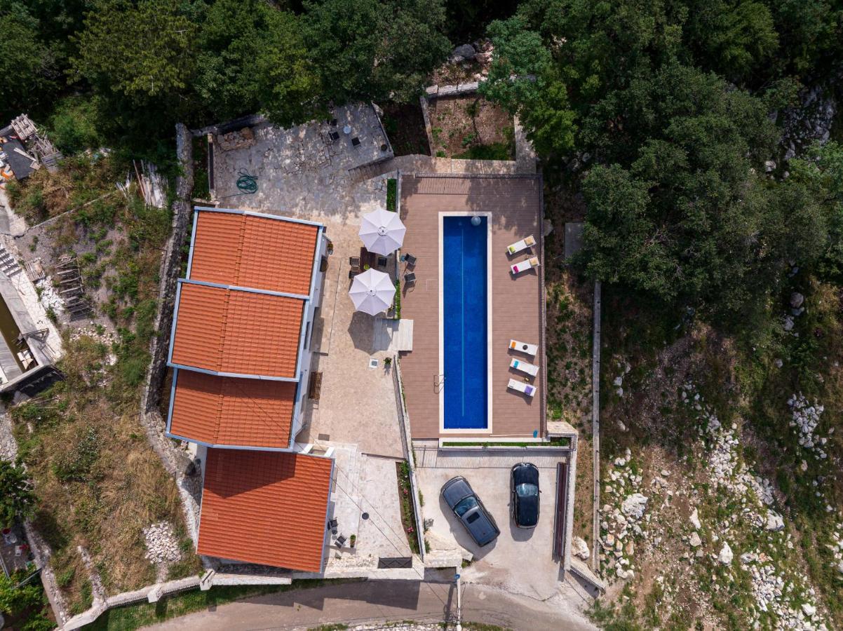 Mattson Budva