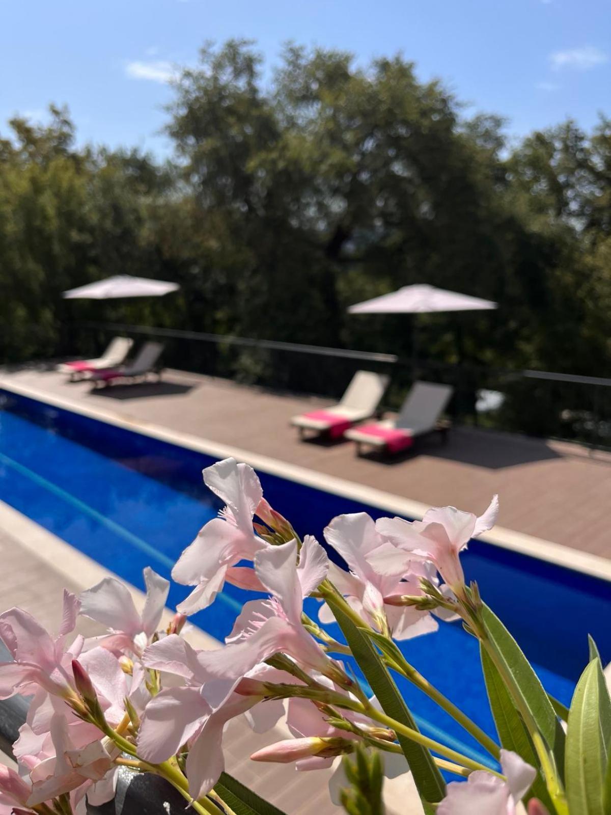 Villa Mattson *